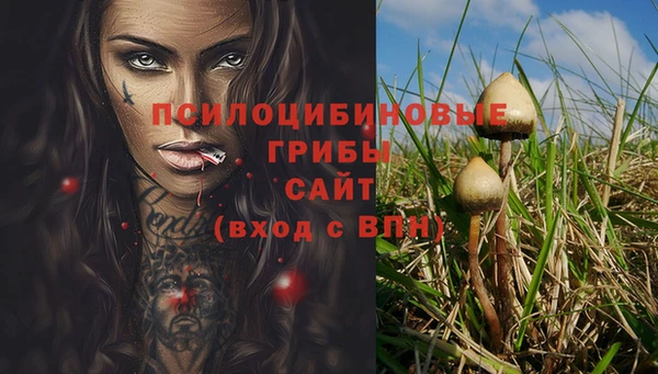 apvp Осинники