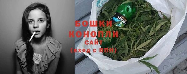 эйфоретик Пересвет