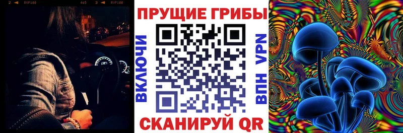 Галлюциногенные грибы Psilocybine cubensis  Наволоки 